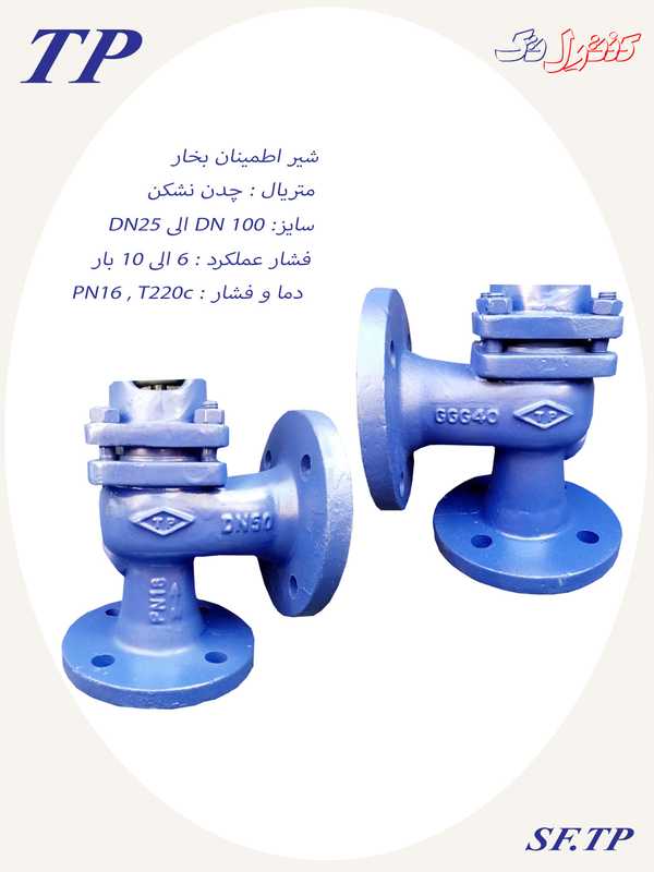 شیر اطمینان بخار